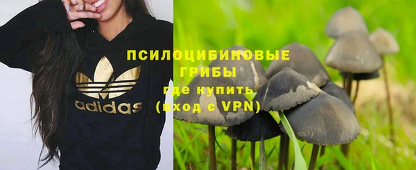дурь Алексин
