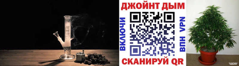 МАРИХУАНА сатива  omg tor  Грязовец  где можно купить наркотик 